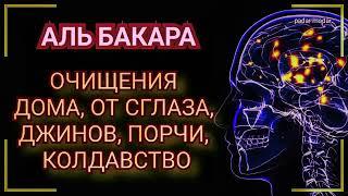 СУРА БАКАРА . Защита от ДЖИНОВ ПОРЧИ СГЛАЗА И ДРУГИХ БОЛЕЗНИ