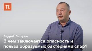 Споры бактерий — Андрей Летаров