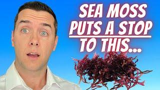 SEA MOSS: The Powerful Health Benefits You NEVER Knew About!