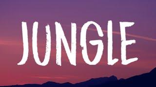 Alok, The Chainsmokers & Mae Stephens - Jungle (Lyrics)