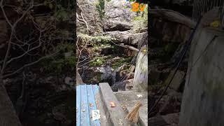 Akasa Ganga l Tirumala l Thirupathi l Lord Balaji