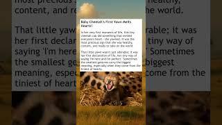 Baby Cheetah Does This…️ #wholesome #cheetah