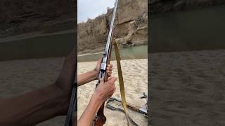 7mm rifle reviews power testing#shorts #feed#firingvideo #powerful