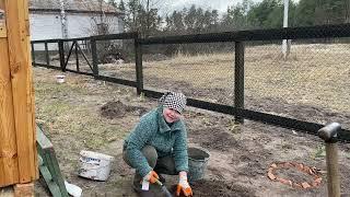 Из города в село. Сад, огород Светланы Журавлевой. РОЗЫ!