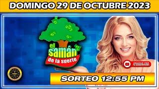 Resultado de EL SAMAN DE LA SUERTE Del DOMINGO 29 DE OCTUBRE 2023 #Chance #SamandelaSuerte