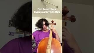 Dvorak on gut strings - first day