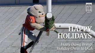 Happy Holidays from Hairy Dawg