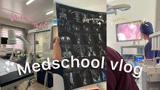 4th year medschool vlog | Tashkent medical academy | TMA | MBBS ABROAD| Uzbekistan vlog