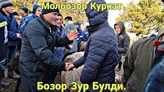 Молбозор Куркат.Бозор Зур Булди.21.10.2022.