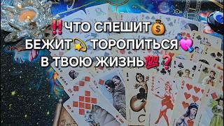 ЧТО СУДЬБА ВАМ ОБЕЩАЕТ Гадание онлайн цыганский расклад