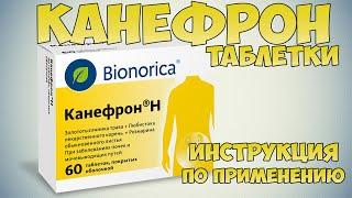  CANEFRON N TABLETS INSTRUCTIONS FOR USE OF THE PREPARATION, INDICATIONS, TREATMENT OF KIDNEYS