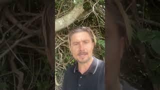 Weekly Market Wrap-Up with Glen Charman | Interest Rates & Buyer Confidence