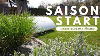 Rasen im Frühjahr richtig pflegen | Start in die Rasensaison