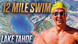 Swimming 12 Miles across Lake Tahoe with D1 Swimmers (CRAZY FINISH)