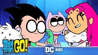 Teen Titans Go! auf Deutsch | Weitere Katzen Katzen Katzen  | DC Kids