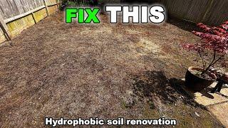 Renovating a HYDROPHOBIC Lawn... Do THIS: