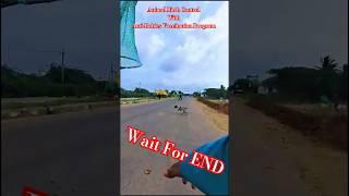 Running Dog Miss Catch #dog #streetdogplanet44 #ytshorts #new #shortsfeed