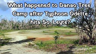 What happened to Danao Tree Camp 3 months after Typhoon Odette? , PSA So. Leyte Tree Planting