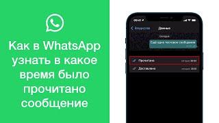 Как в WhatsApp узнать в какое время было прочитано сообщение