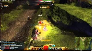 Guild Wars 2 Warrior Patch 2/26/2013