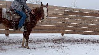 Coaching McKenna: Putting a First Ride on Cornfed, a Rising K Ranch Colt