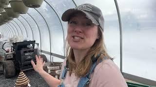 Planting Annuals & Baskets With My Crew Part 2: Flower Hill Farm