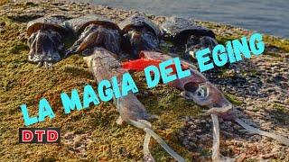 Este Egi lo Pesca Todo || EGING GALICIA|| Travel Vlog 28