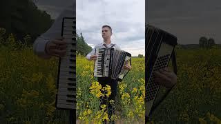 #accordion #music #cover #oskarrulov