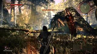 Witcher 2 Gameplay - Kayran boss fight. Ultra Settings