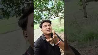 niraj Kumar