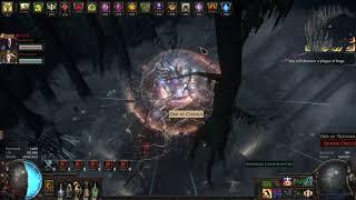 Path Of Exile T15 Dark Forest 100% delirium JUICE!