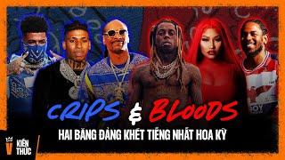 Lịch sử CRIPS và BLOODS: Hai băng đảng khét tiếng nhất Hoa Kỳ | Lịch sử & Đặc điểm