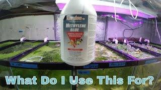 Methylene Blue And How To Use It In Your Aquarium