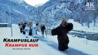 Gasteiner Krampuslauf - Krampus run Bad Gastein, Austria 2024 / Video footage