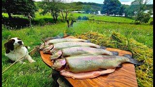 SECRETS OF WILD CUISINE: Catch Trout with HANDS and Cook in the Wilderness | ASMR Relaxing