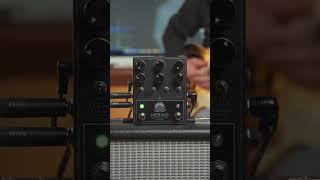 Walrus Audio Meraki Stereo Analog Delay in parallel Mode #shorts  #guitargear #analogdelay