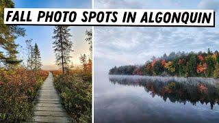 15 Fall Photo Spots in Algonquin Provincial Park | Algonquin Camping