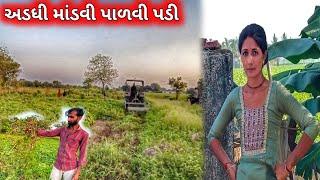 Adadhi Mandvi Palvi Padi || farmerlife ||