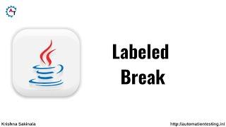 Labeled Break Statement in Java | Java Tutorial For Beginners | Java Break Statement|Break Statement