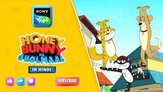 अकस्मात् कलाबाजी का किस्सा IHunny Bunny Jholmaal Cartoons forkids Hindi|बच्चो की कहानियां |Sony YAY!