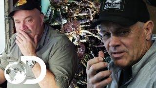 Sly Captain Spot Checks Rival's Hotspot For Crab | NEW Deadliest Catch