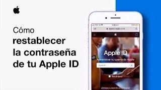 Cómo recuperar o restablecer la contraseña de un Apple ID | LimonTouch