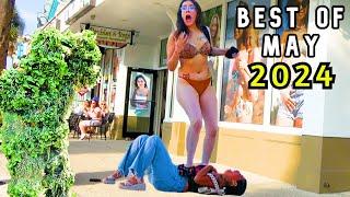 Ultimate Best of Bushman Compilation for May 2024