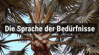 (3) Die Sprache der Bedürfnisse - Gewaltfreie Kommunikation