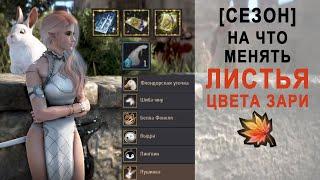 Black Desert На что менять Листья цвета зари. Подробный разбор.