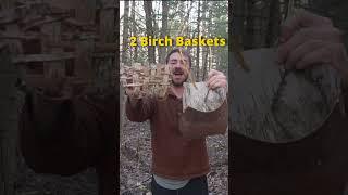 5 Bushcraft Uses of Birch Trees!