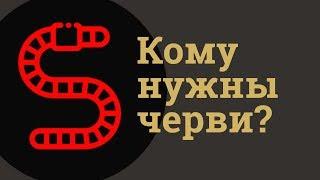 Кому нужны черви?  Дендробена Калилфорнийский червь Старатель Купить червей Домаший червь travart.ru