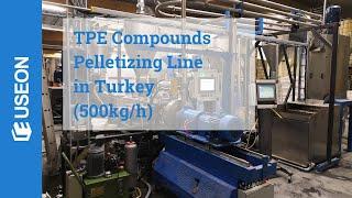 TPE Pelletizing Extrusion Line: 500kg/h Project in Turkey