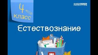 Естествознание. 4 класс /21.09.2020/