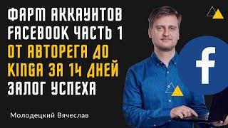 ФАРМ АККАУНТОВ FACEBOOK ЗА 14 ДНЕЙ – От чего зависит успех фарма? Разберем основы